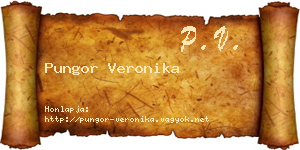 Pungor Veronika névjegykártya